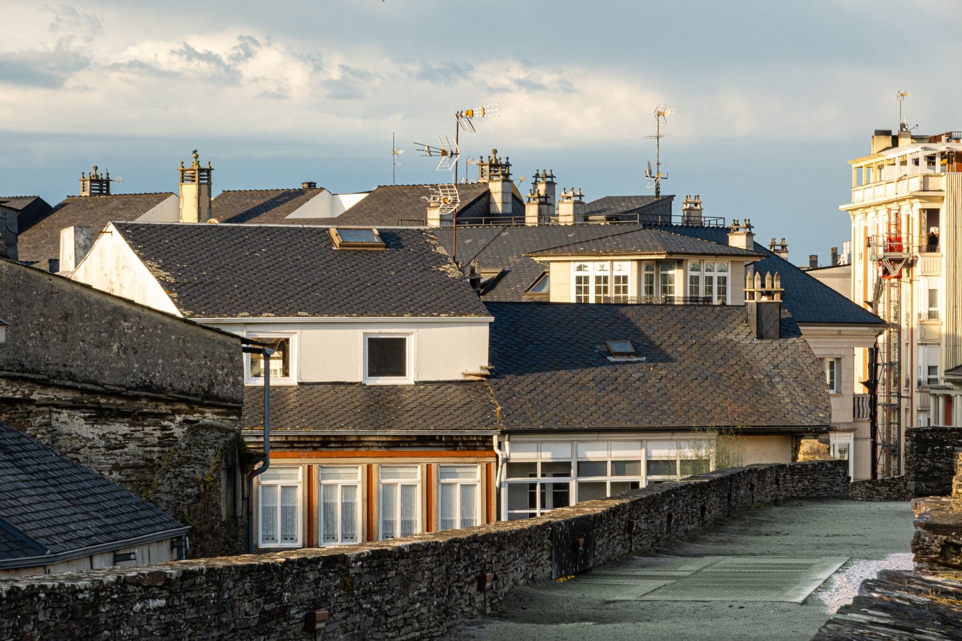 Professional chimney service